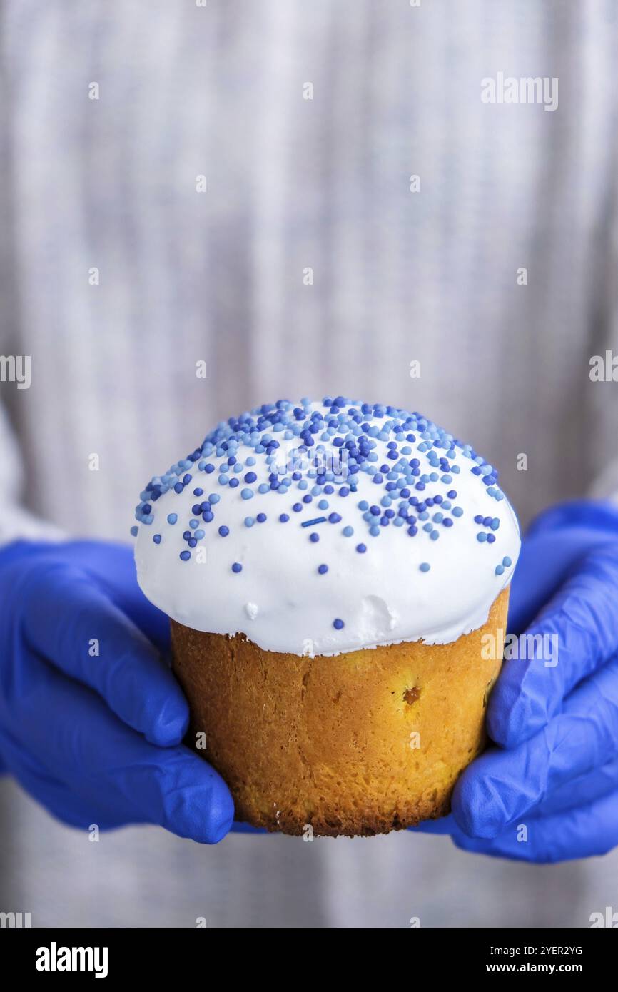Die Hände des Kochs in blauen Handschuhen halten den Osterkuchen mit weißem Belag und blauen Streuseln. Frau mit traditionellem russischen Osterkuchen. Hausgemachter Kuchen Stockfoto
