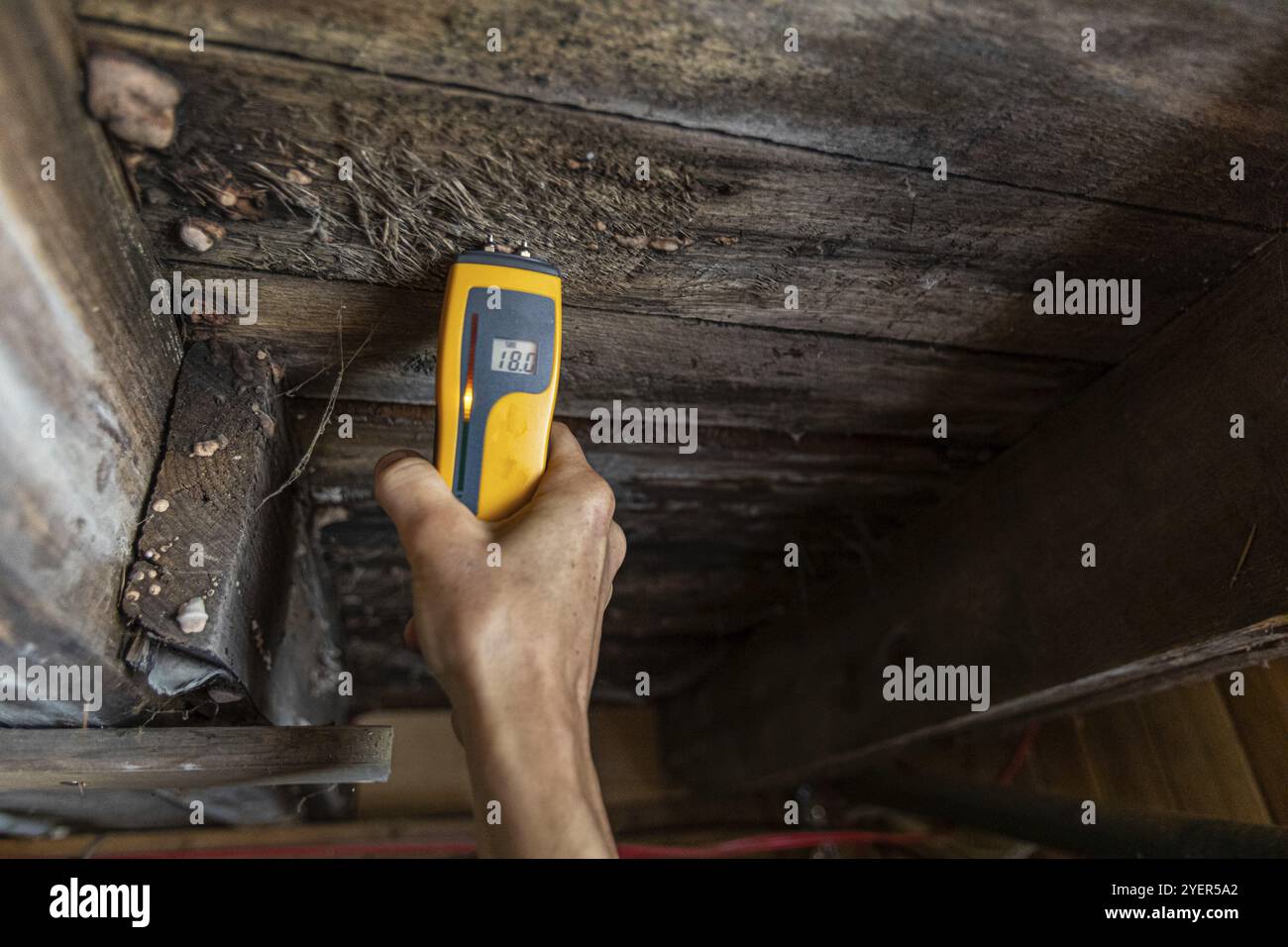 Eine Nahaufnahme eines Home Inspector bei der Arbeit in einem Wohngebiet Keller, Bewertung von Anzeichen für strukturelle Mängel wie Holz verrotten und Feuchtigkeit, mit kopieren Stockfoto