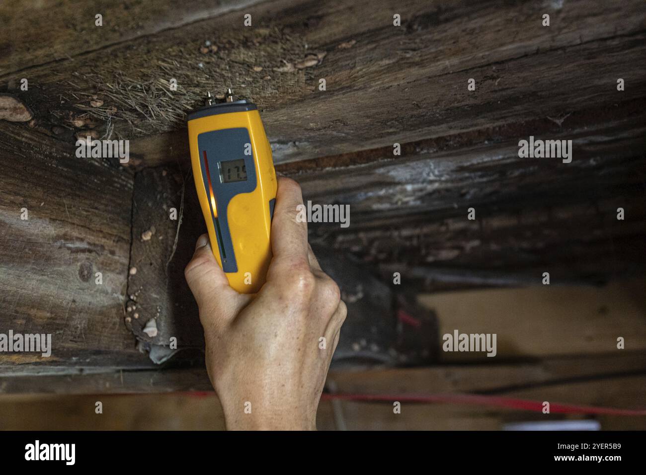 Eine Nahaufnahme eines professionellen Wohnen Qualität über ein digitales Handheld-Gerät auf das Niveau der Feuchtigkeit in Holz- strukturelle ele Messen inspector Stockfoto