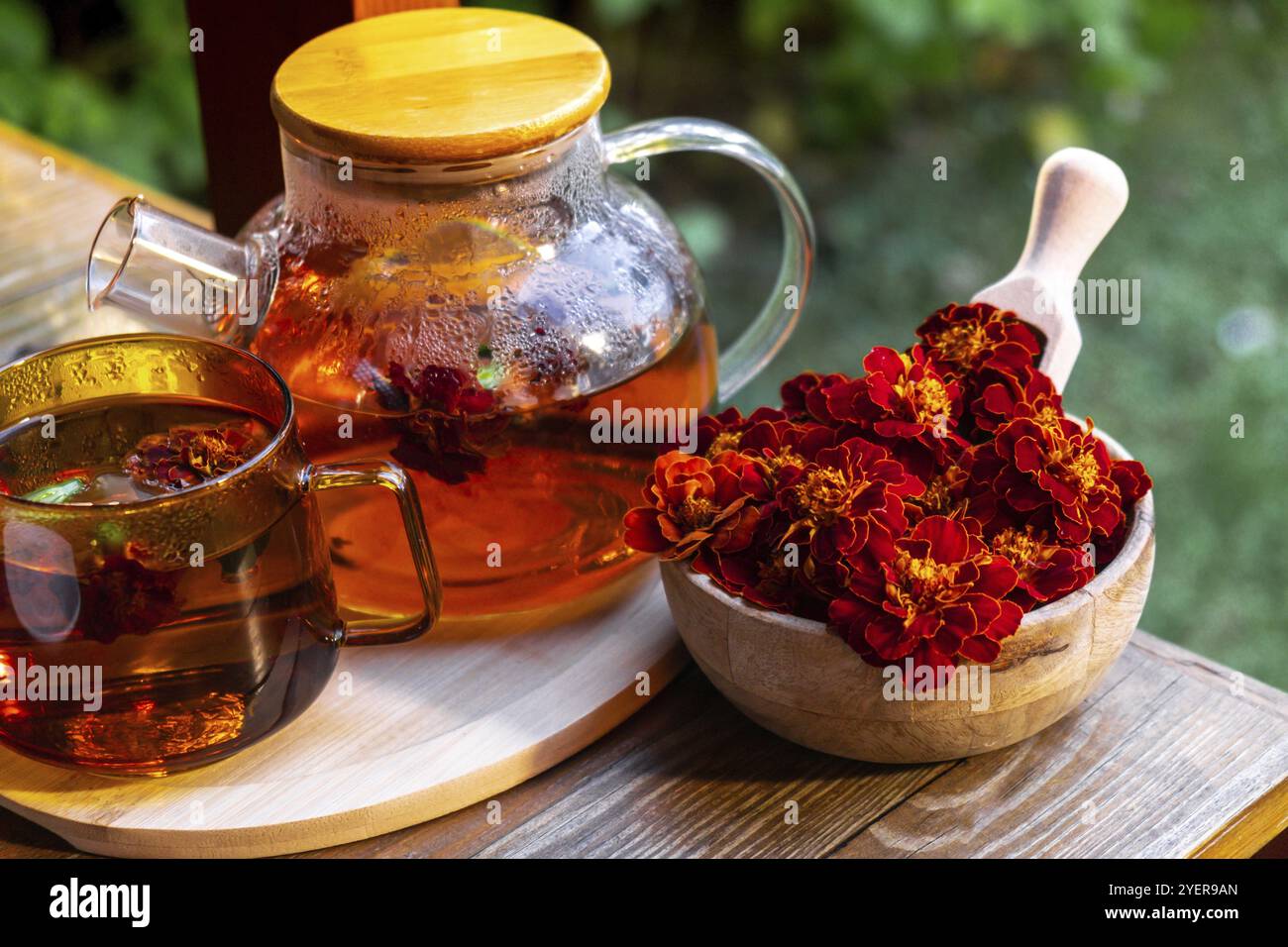 Marigold Tee Stillleben auf Tisch im grünen Garten Hintergrund. Gesunde Heißgetränk Vorteile. Natürliches biologisches aromatisches Getränk in der Tasse. Hausgemachte Immunität-bo Stockfoto