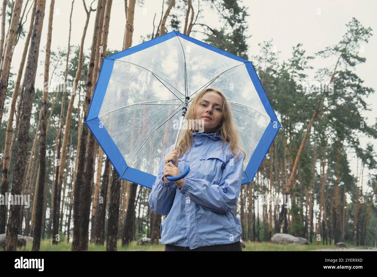 Junge Frau, die einen durchsichtigen blauen Regenschirm im Wald hält. Regnerischer Tag mit Regenschirm. Frau mit Hand, die prüft, wie lange es Rini sein wird Stockfoto