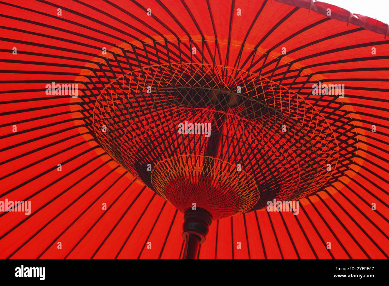 Kein Regenschirm Stockfoto
