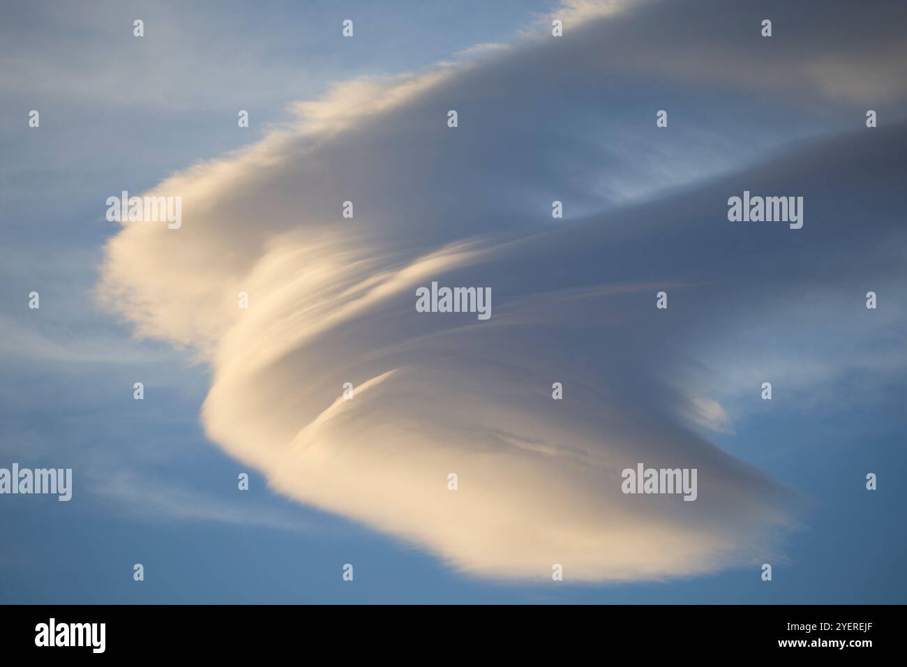 Schöne große weiße Cumuluswolke auf einem hellblauen Hintergrund Stockfoto
