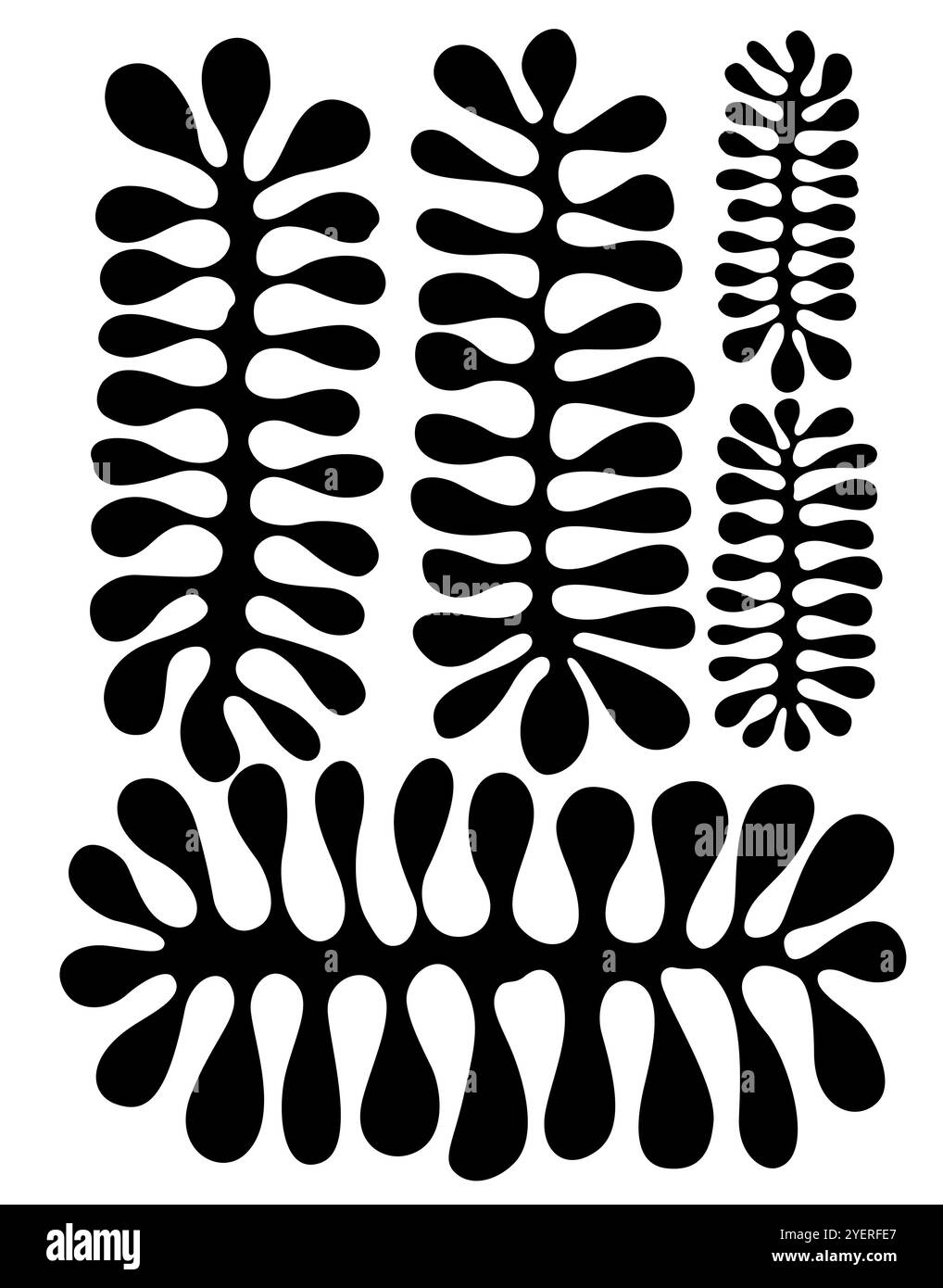 Muster der Pflanzen Stockfoto