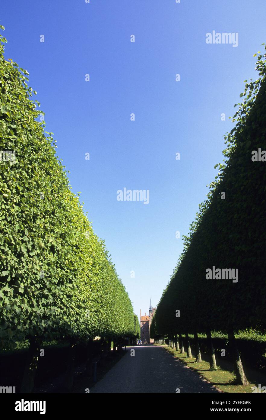 Grüne Wand Stockfoto