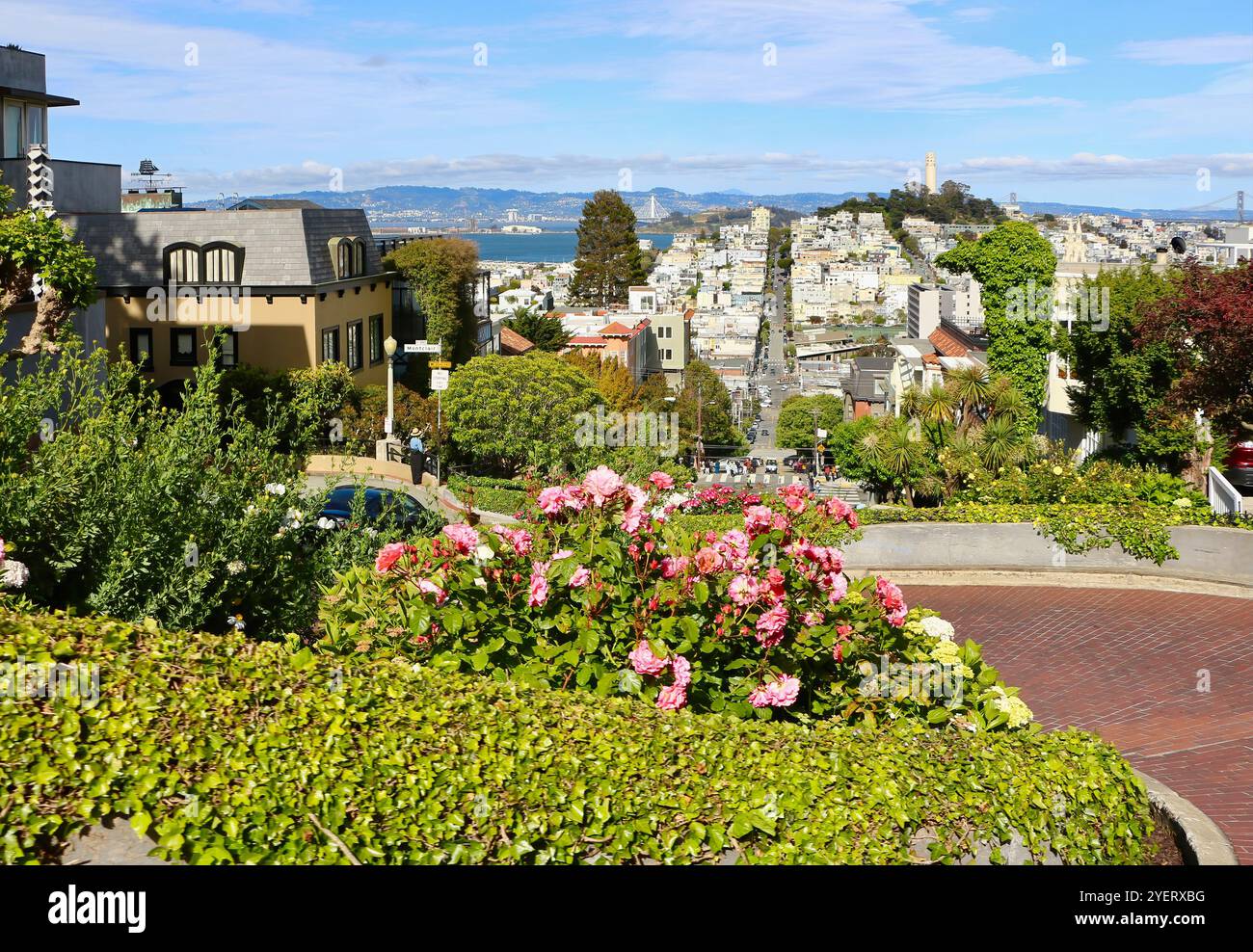Bekannt als die krummste Straße der Welt in der Lombard Street mit acht Haarnadelkurven von einem Auto, das den Berg von San Francisco, Kalifornien USA, bergab fährt Stockfoto