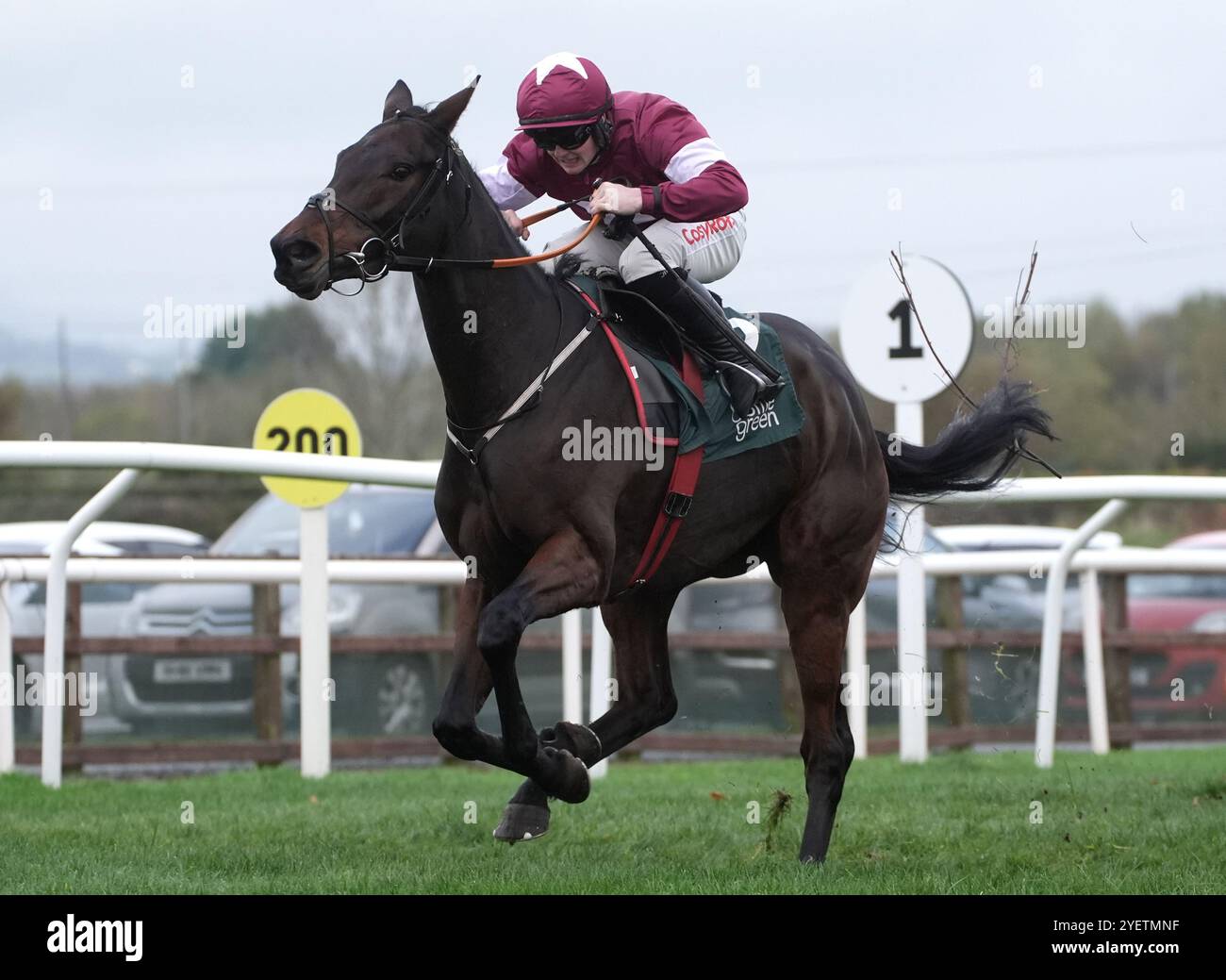 Brighterdaysahead wurde von Sam Ewing auf dem Weg zum Sieg der Bottlegreen-Hürde am ersten Tag des Ladbroke Festival of Racing auf der Down Royal Racecourse, Lisburn, gefahren. Bilddatum: Freitag, 1. November 2024. Stockfoto