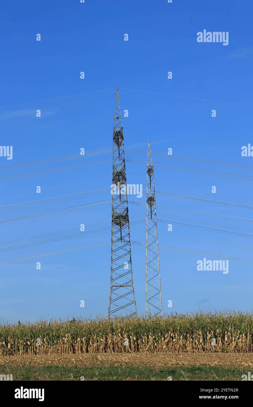 Hochspannungsmasten stehen hintereinander, seitlich versetzt Stockfoto