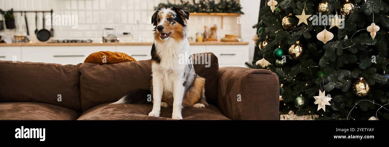 Entzückender Hund, der auf der Couch in einem modernen Apartment sitzt, Weihnachtsbaum. Stockfoto