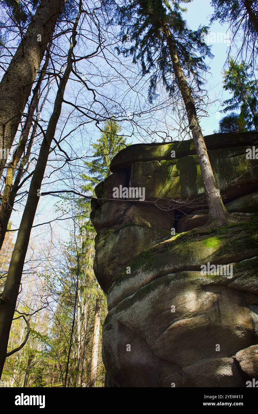 Felsen von Karkonosze in Szklarska Poręba, mit trockener Bodenbedeckung und Sonnenlicht, die eine ruhige Herbstszene schaffen. Stockfoto