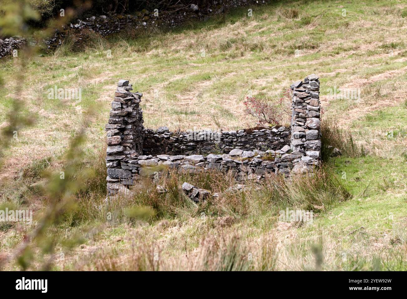 Ruine verlassenes kleines Steinhaus in joyce Country, County galway, republik irland Stockfoto