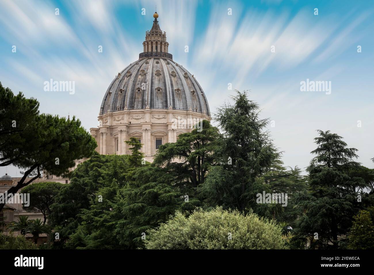Der Petersdom erhebt sich aus Baumkronen im Vatikan Stockfoto