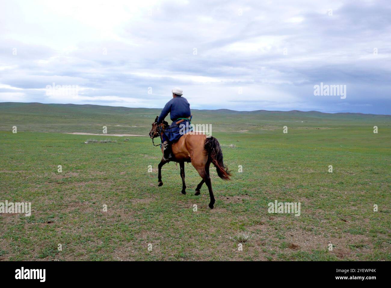 Mongolischer Junge Reitet. Mongolische Steppe. Elsen. Mongolei Stockfoto