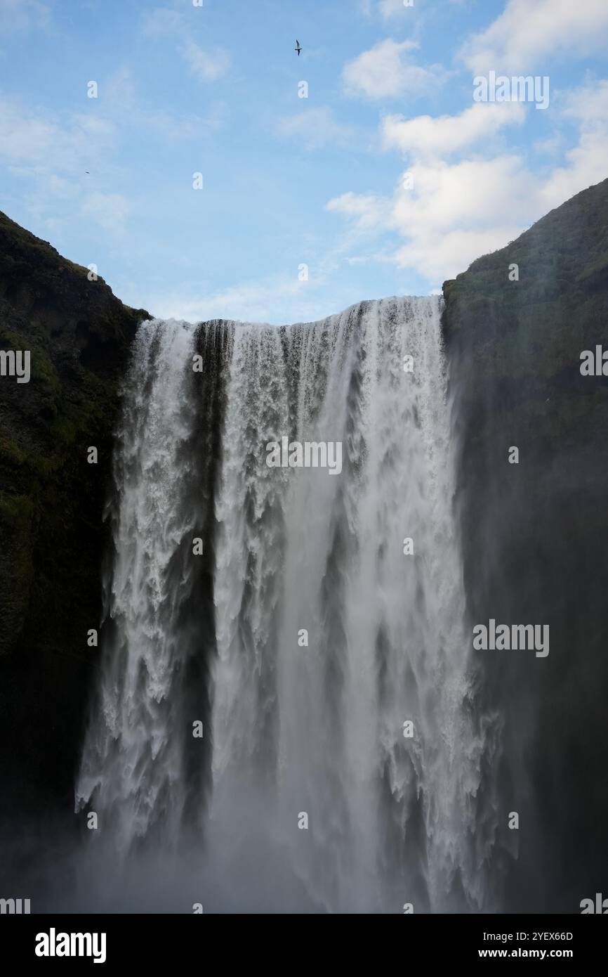 Skogafoss Wasserfall in Island mit blauem Himmel, weißen Wolken und Vögeln, die darüber fliegen Stockfoto Skogafoss Wasserfall in Island mit blauem Himmel, weißen Wolken und Vögeln, die darüber fliegen Stockfoto