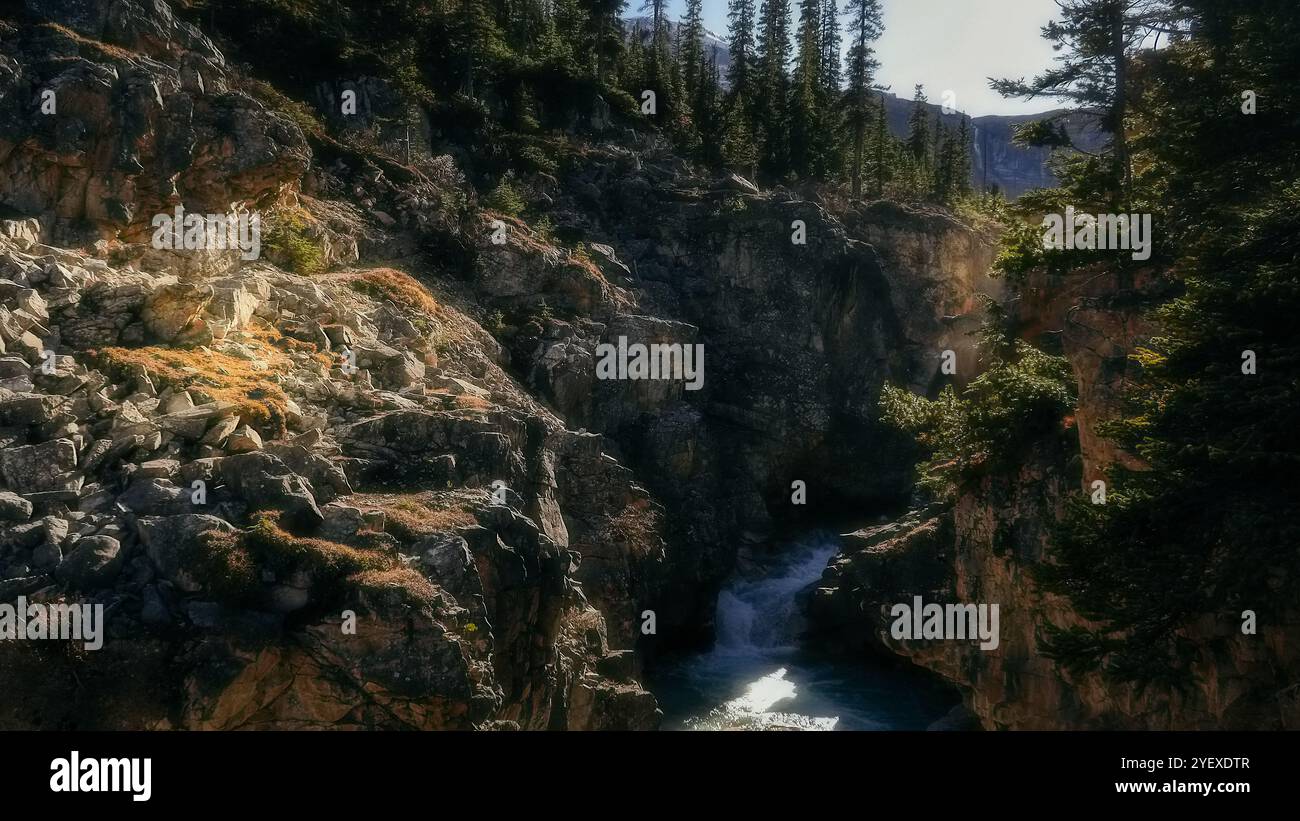 Der sich schnell bewegende Bach stürzt bei hellem Sonnenschein durch eine enge Schlucht mit einem Wasserfall im Hintergrund Stockfoto
