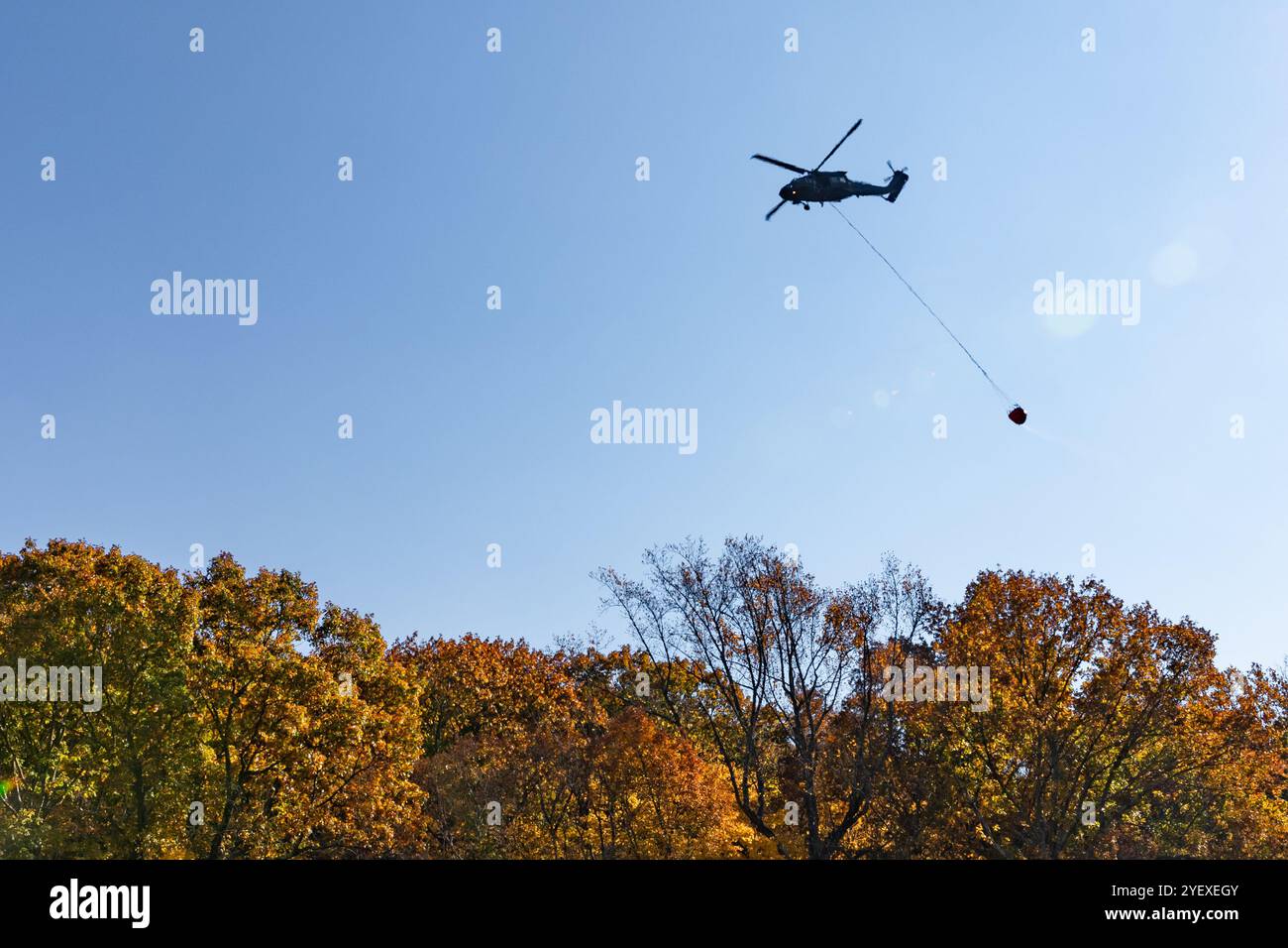 Ein Transporthubschrauber der Connecticut Army National Guard UH-60 Blackhawk vom 1. Bataillon, 169th Aviation Regiment, fliegt knapp über der Baumgrenze mit einem Helikopterschleuder beladen, Berlin, Connecticut, 24. Oktober 2024. Je nach Tragfähigkeit des Flugzeuges werden verschiedene Modelle von Hubschrauberlöffeln verwendet. Der UH-60 verwendet einen 660-Gallonen-Eimer, während ein CH-47 Chinook-Transporthubschrauber, der eine Nutzlast von bis zu 26.000 Pfund tragen kann, einen 2.000-Gallonen-Eimer tragen kann. (Foto der US-Armee von Sgt. Matthew Lucibello) Stockfoto