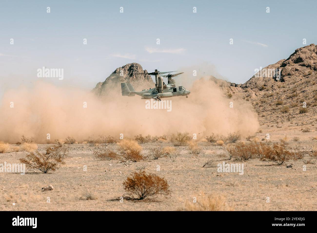 Ein U.S. Marine Corps MV-22B Osprey hat die Marine Aviation Weapons and Tactics Squadron One zugewiesen, landet während der letzten Übung als Teil des Weapons and Tactics Instructor Courses 1-25 auf der Luke Air Force Base, Arizona, 26. Oktober 2024. Die WTI ist eine siebenwöchige Schulungsveranstaltung, die von MAWTS-1 veranstaltet wird und deren Schwerpunkt auf der operativen Integration der sechs Funktionen der Meeresluftfahrt zur Unterstützung der Marine Air Ground Task Force, Joint and Coalition Forces liegt. (Foto des U.S. Marine Corps von Lance CPL. Micah Thompson) Stockfoto