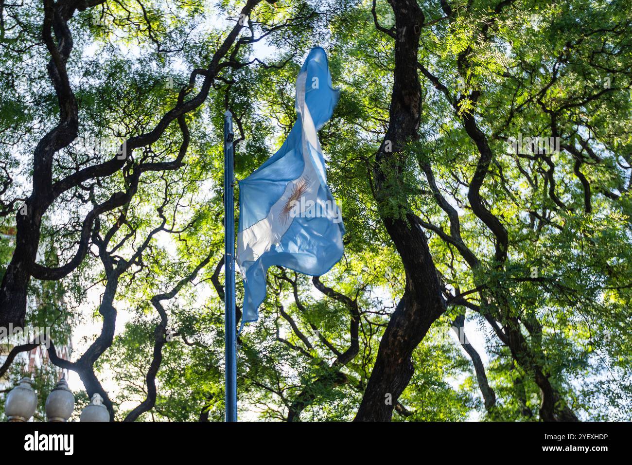 Argentinische Flagge, die auf einem Fahnenmast gegen einen Baum im Hintergrund fliegt. Patriotisches Symbol Argentiniens. Buenos Aires, Argentinien Stockfoto