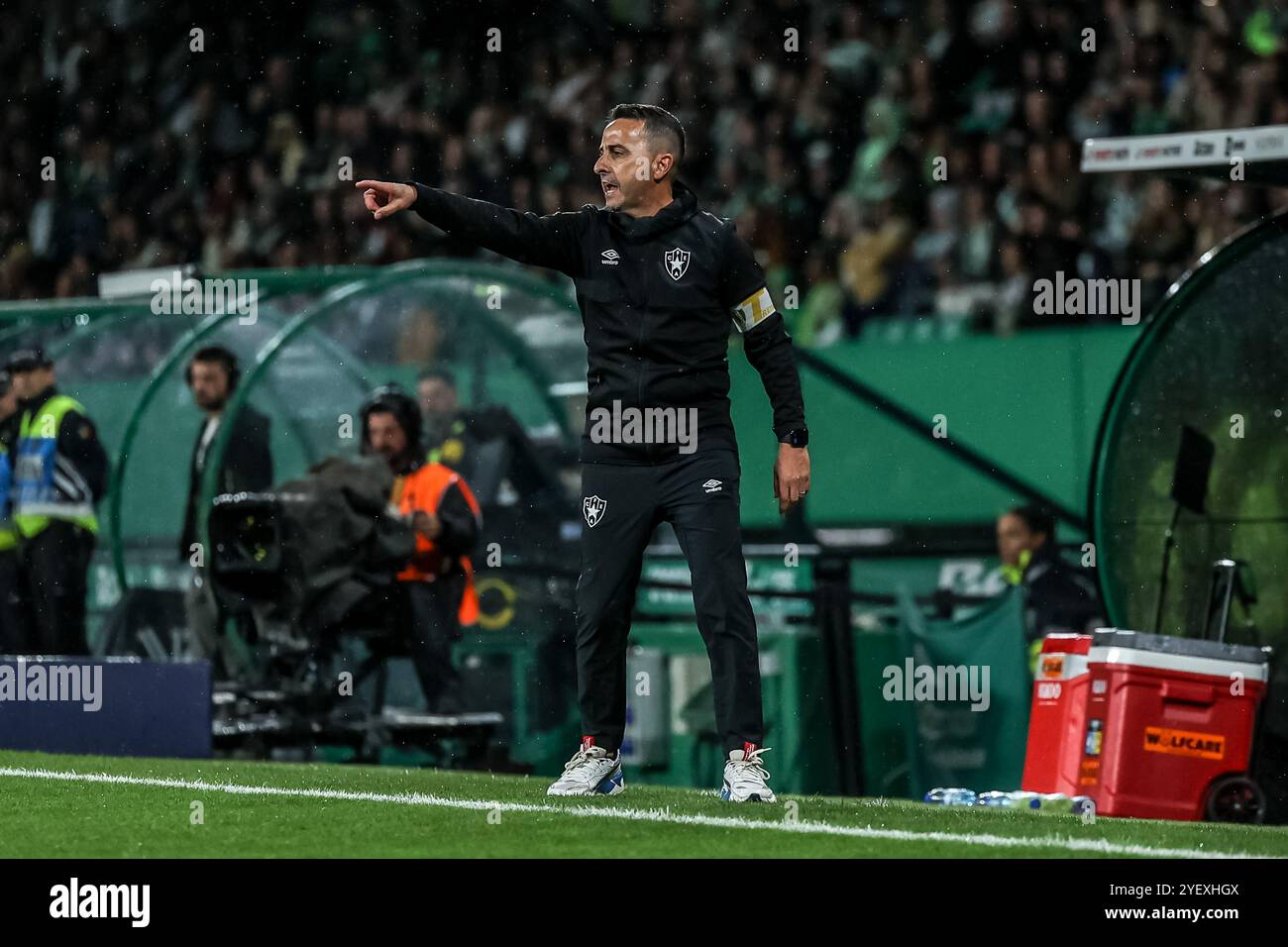 Lissabon, Portugal . Oktober 2024. Lissabon, Portugal, 1. November 2024: Luis Filipe da Silva in Aktion während des Liga Portugal Betclic-Spiels zwischen Sporting CP gegen CF Estrela da Amadora Estadio Jose Alvalade, Lissabon am 1. November 2024 (João Bravo /SPP) Credit: SPP Sport Press Photo. /Alamy Live News Stockfoto