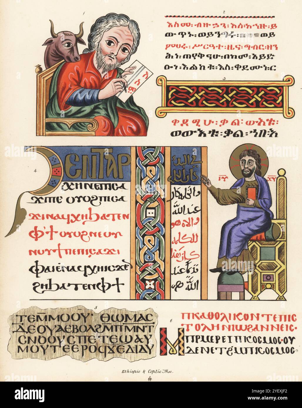 Äthiopische und koptische biblische Manuskripte. Porträt des hl. Lukas mit Stier 1 und Beginn seines Evangeliums 2 aus dem äthiopischen Evangelium Nr. 14, Markusevangelium 3, Christusfigur aus dem Johannesevangelium in Koptisch und Arabisch 4, koptischer Papyrus 5 und Koptisches Lectionarium 6. Chromolithographie nach einer Illustration von John Obadiah Westwood aus seiner eigenen Palaeographia Sacra Pictoria, eine Serie von Illustrationen der antiken Versionen der Bibel, kopiert von Leuchtmanuskripten, William Smith, London, 1843. Stockfoto