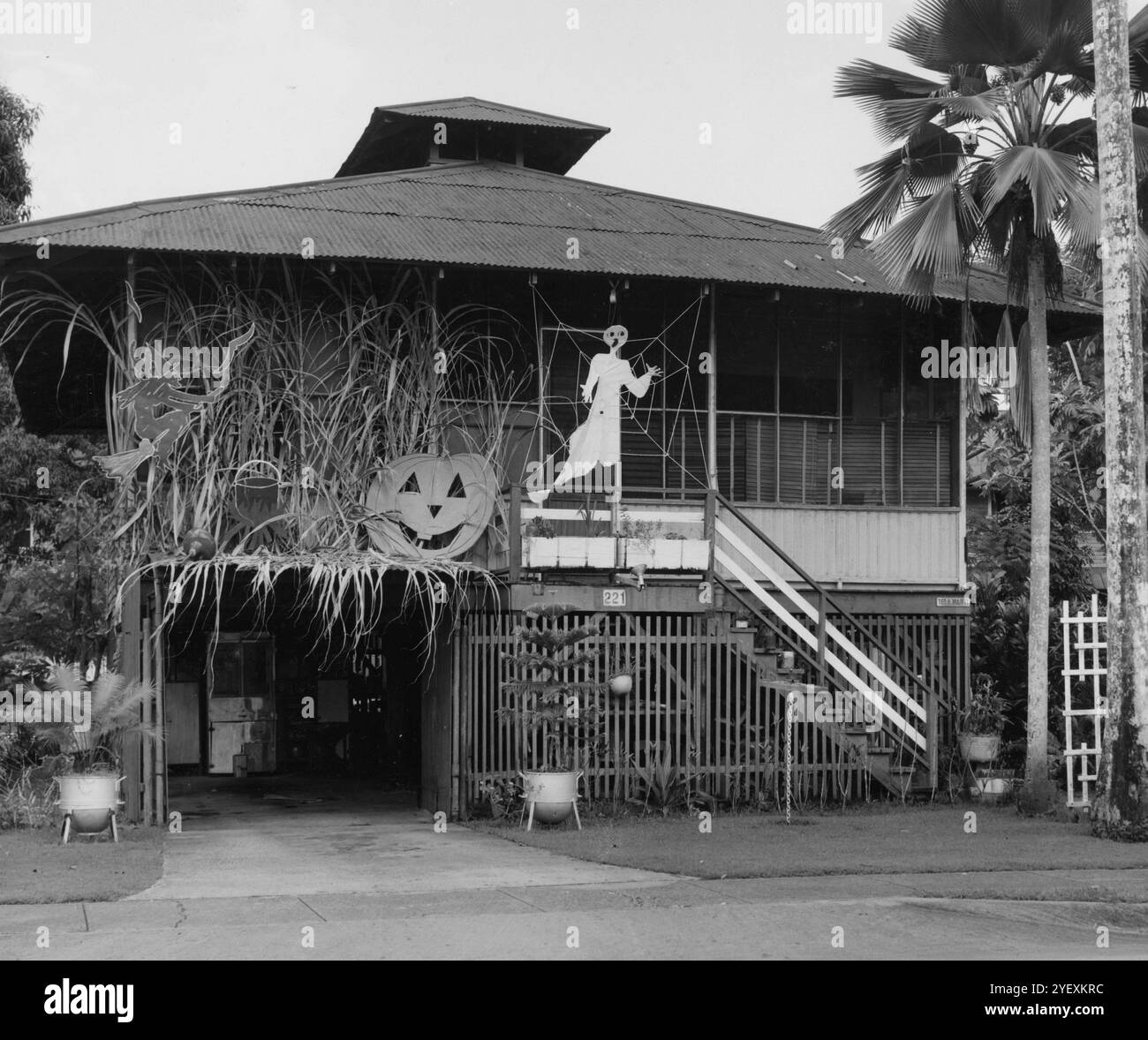 Halloween-Dekoration vor Haus Nr. 221, Pedro Miguel, Canal Zone. Oktober 1953 Stockfoto