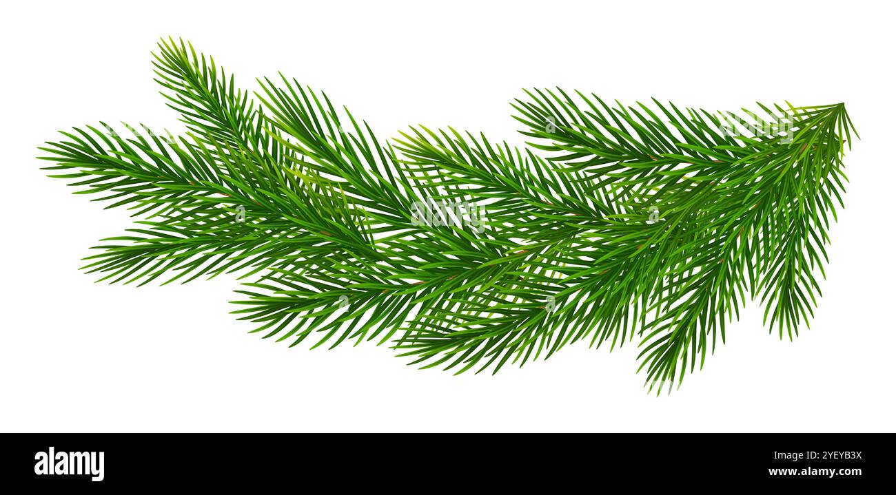 Weihnachtsrand realistischer Tannenzweige. Kiefernzweige zur Begrüßung von Neujahrs- und Weihnachtskarten, Bannern, Einladungen. Vektorabbildung Stock Vektor