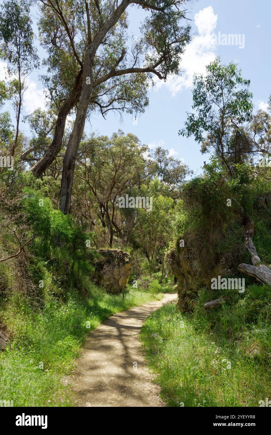 Anchep National Park Buschwanderung Stockfoto