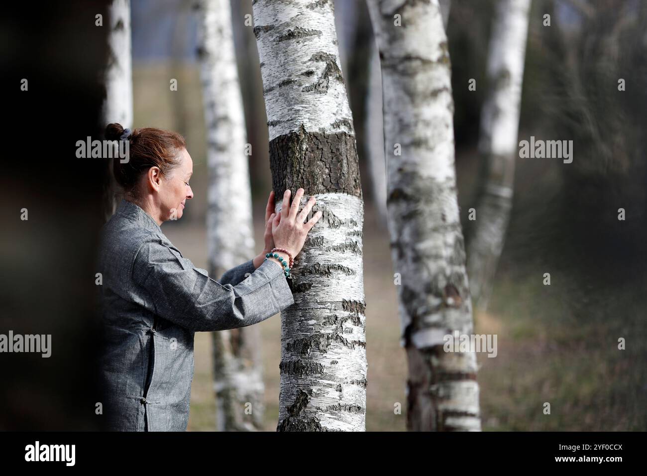 Naturtherapie. Qi Gong und Waldbaden, auch bekannt als Shinrin-Yoku. Frankreich. Stockfoto