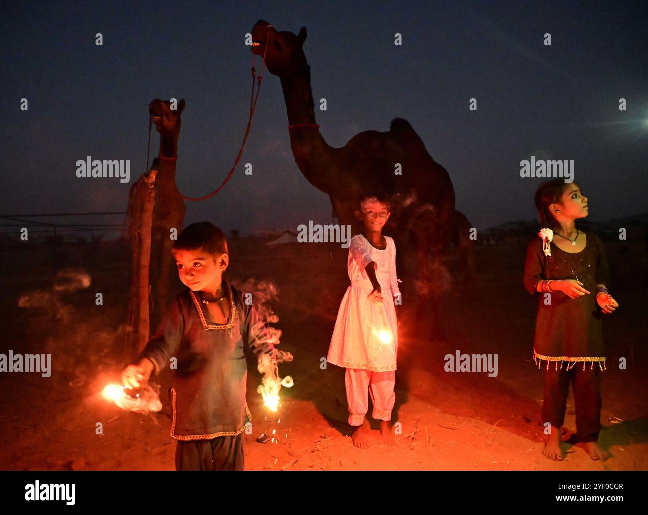 Ajmer, Rajasthan, Indien. November 2024. Kamelhirten zünden Feuerwerkskörper an, während sie das Diwali-Festival in Puschkar feiern. Diwali, auch bekannt als Festival der Lichter, ist eines der am weitesten gefeierten Hindufeste, das den Sieg des Lichts über die Dunkelheit und des Guten über das Böse symbolisiert. (Kreditbild: © Shaukat Ahmed/Pacific Press via ZUMA Press Wire) NUR REDAKTIONELLE VERWENDUNG! Nicht für kommerzielle ZWECKE! Quelle: ZUMA Press, Inc./Alamy Live News Stockfoto