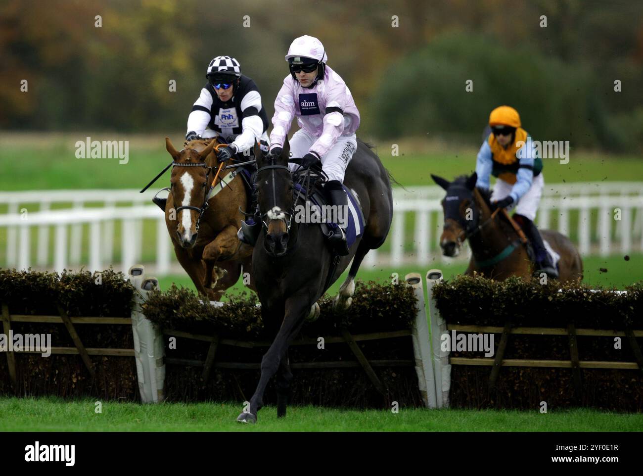 Roadlesstravelled von JockeyJonjo O'Neill Jr springt die letzte Hürde und gewinnt die 6 Horses Challenge bei bet365 Neulingen auf der Wetherby Racecourse. Bilddatum: Samstag, 2. November 2024. Stockfoto