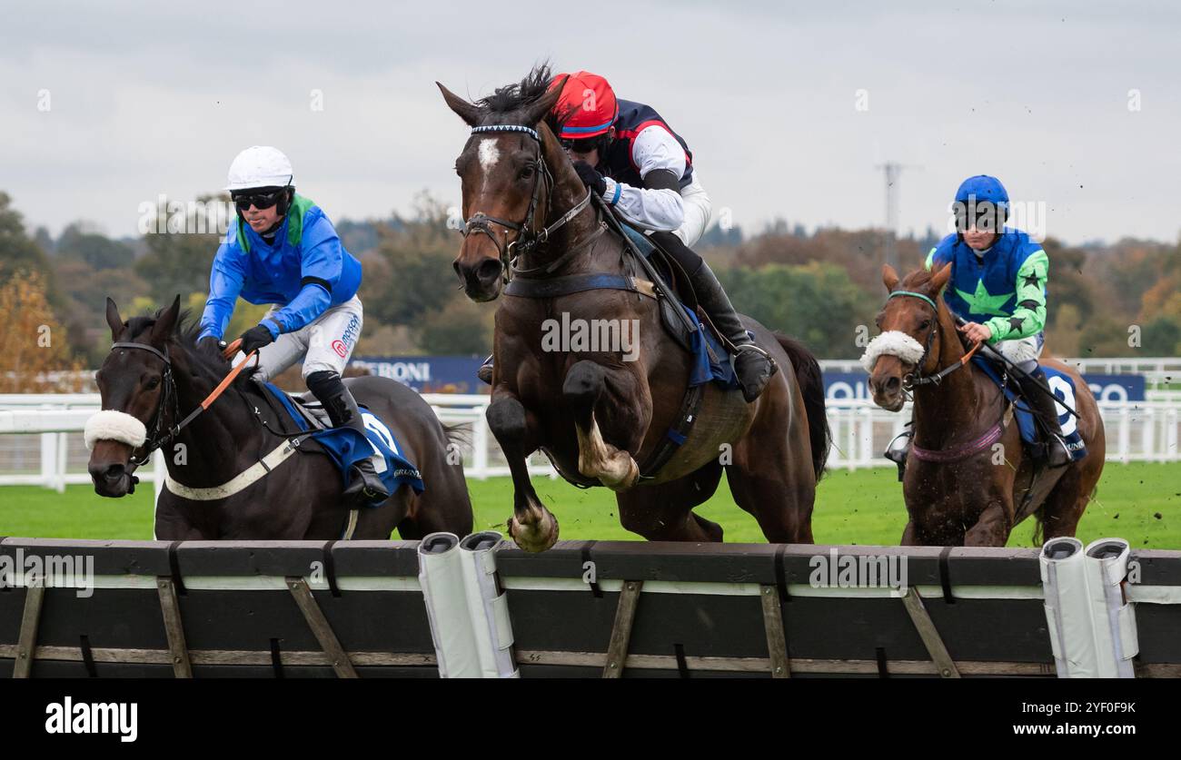 Ascot, Großbritannien, Samstag, 2. November 2024; Ballytechno und Jockey Calum Hogan gewinnen die Grundon Waste Management Conditional Jockeys' Novices' Handicap Hürdle für Trainer James Owen und Besitzer Brownsbarn Thoroughbreds XI. Credit JTW equine Images / Alamy Live News. Stockfoto