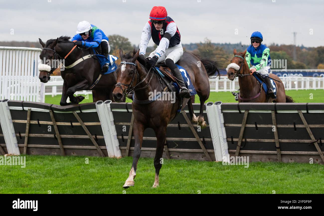 Ascot, Großbritannien, Samstag, 2. November 2024; Ballytechno und Jockey Calum Hogan gewinnen die Grundon Waste Management Conditional Jockeys' Novices' Handicap Hürdle für Trainer James Owen und Besitzer Brownsbarn Thoroughbreds XI. Credit JTW equine Images / Alamy Live News. Stockfoto