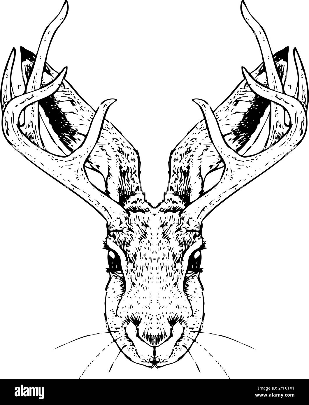 Jackalope - handgezeichnete Illustration des Fantasy-Jackkaninchens | Schwarzweiß-Grafik, inspiriert von Vintage-Illustrationen Stockfoto