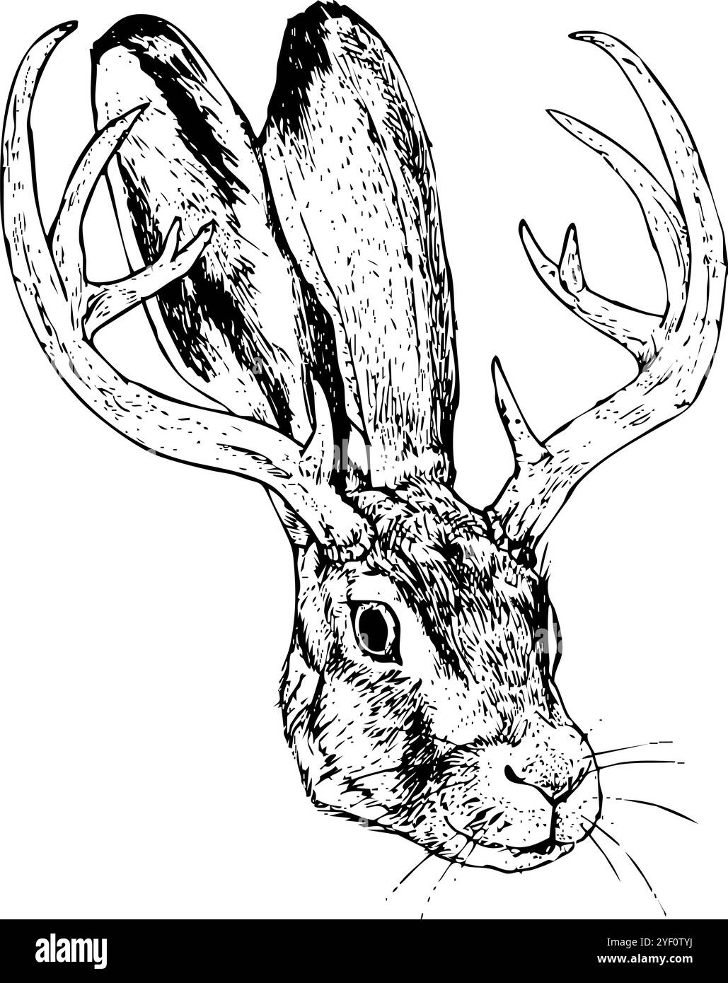 Jackalope Head - handgezeichnete Illustration des Fantasy-Jackkaninchens | Schwarz-weiß-Grafik, inspiriert von Vintage-Illustrationen Stockfoto