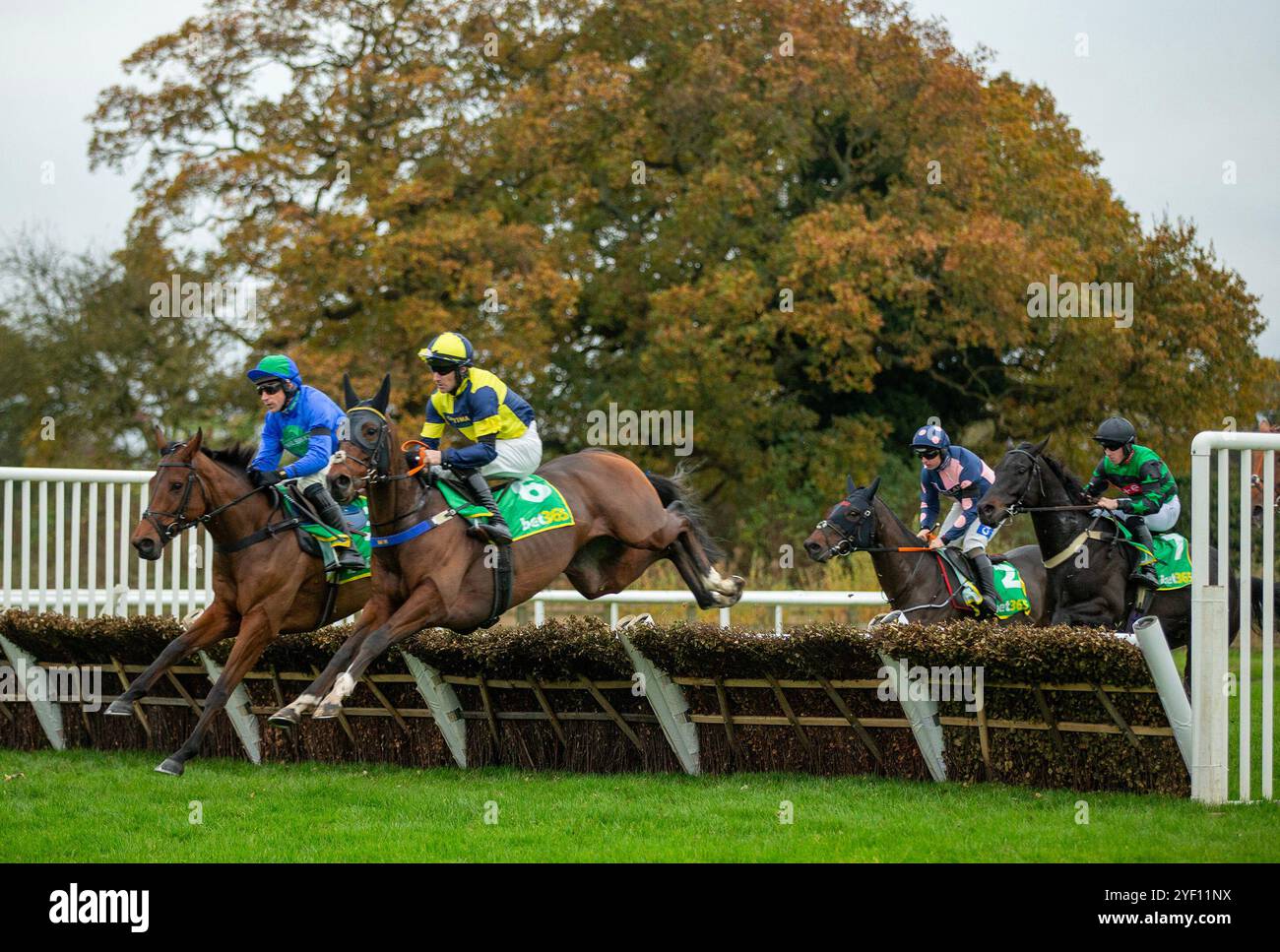 Williethebuilder (links) wurde von Harry Skelton auf seinem Weg zum Sieg des Never Ordinary bei bet365 Handicap Hürdenlauf Dan Skelton auf der Wetherby Racecourse gefahren. Bilddatum: Samstag, 2. November 2024. Stockfoto