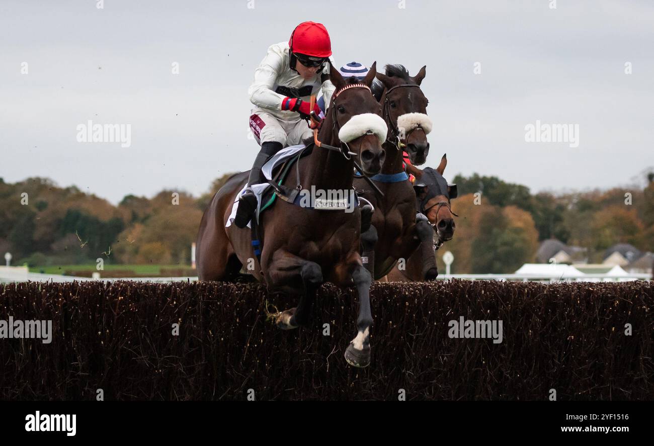 Ascot, Großbritannien, Samstag, den 2. November 2024; Chianti Classico und Jockey Tom Bellamy gewinnen das Spielrennen des Tages, das Sodexo Live! Gold Cup Handicap Steeple Chase (Premier Handicap) für Trainer Kim Bailey und Besitzer Sir Francis Brooke und Mr. R. A. Pilkington. Credit JTW equine Images / Alamy Live News. Stockfoto