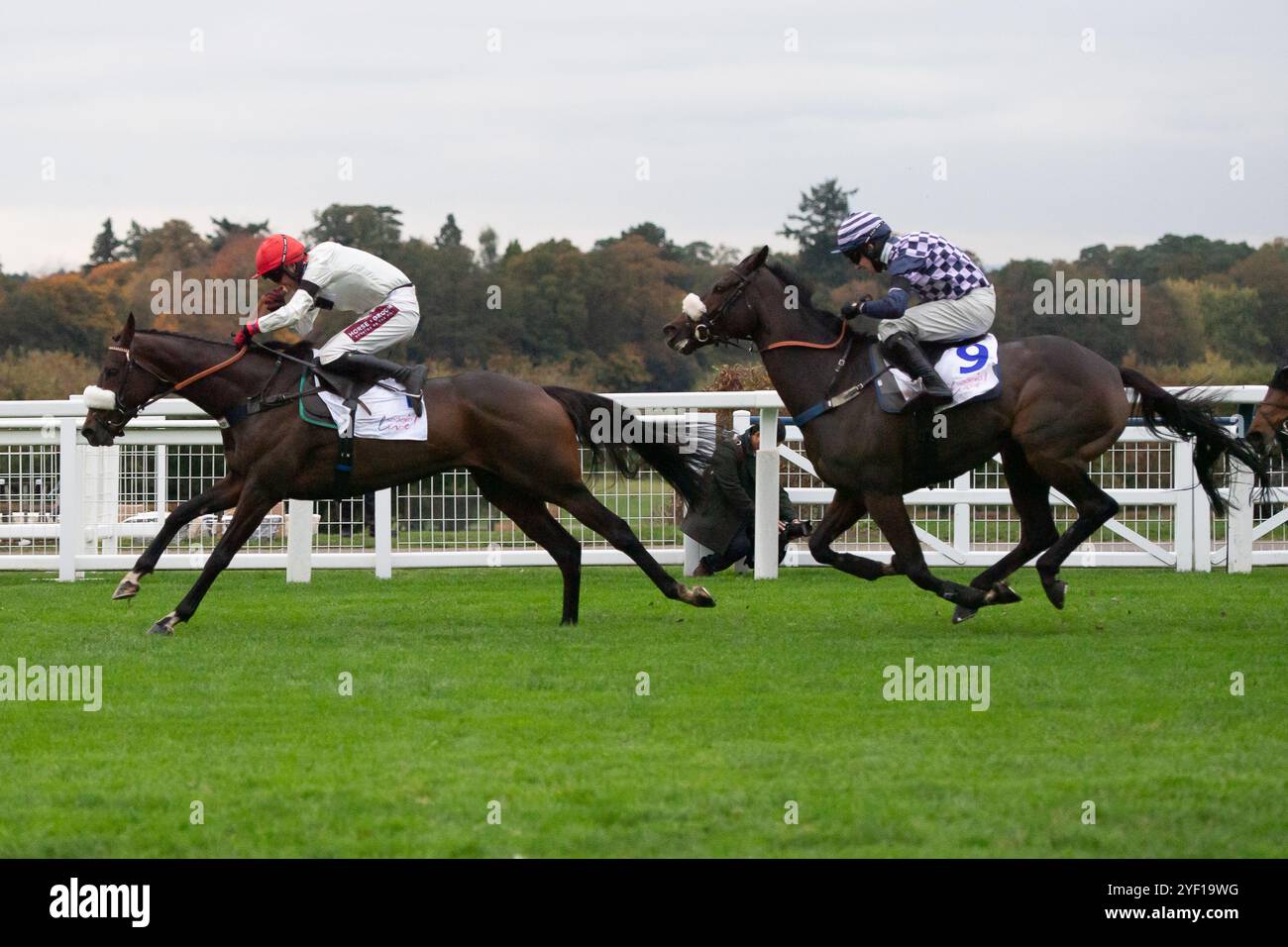 Ascot, Berkshire, Großbritannien. November 2024. CHIANTI CLASSICO ...
