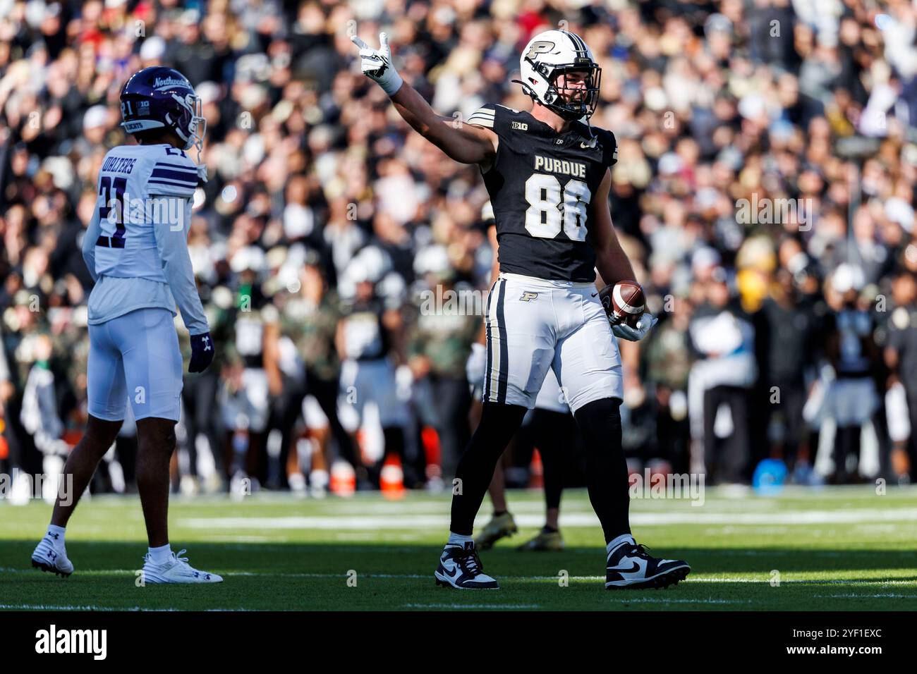 West Lafayette, Indiana, USA. November 2024. Purdue Tight End Max Klare (86) reagiert auf einen ersten Down während der NCAA-Football-Action zwischen den Northwestern Wildcats und den Purdue Boilermakers im Ross-Ade Stadium in West Lafayette, Indiana. John Mersits/CSM/Alamy Live News Stockfoto