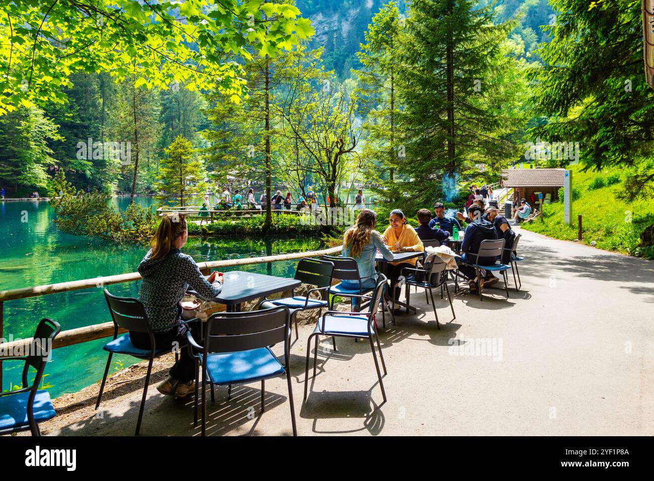 Menschen sitzen im Café mit Blick auf den Blausee, umgeben von Alpenwald, Schweiz Stockfoto