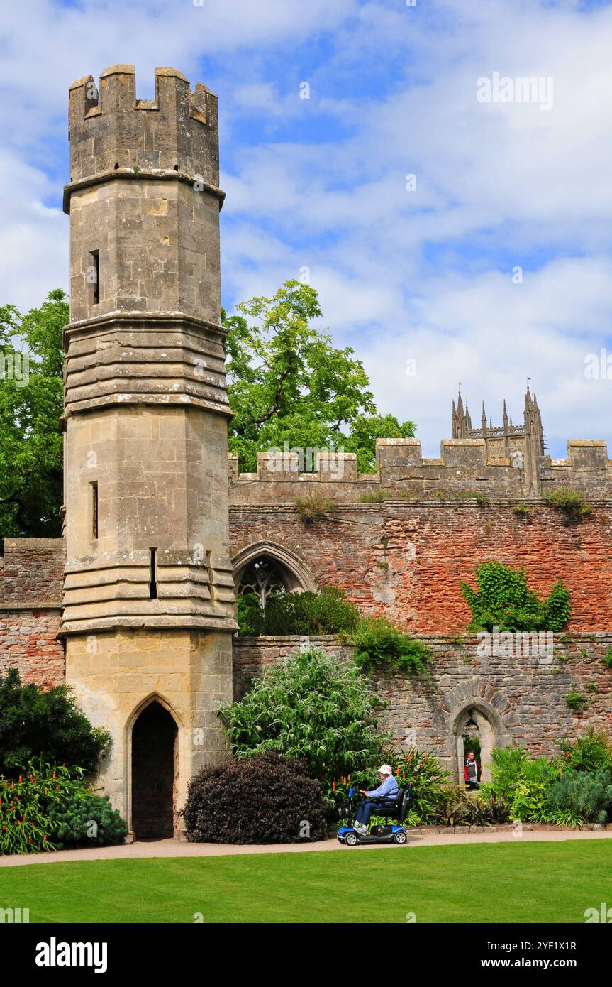 Turm und Mauern in den Bishops Palace Gardens, Wells. Stockfoto