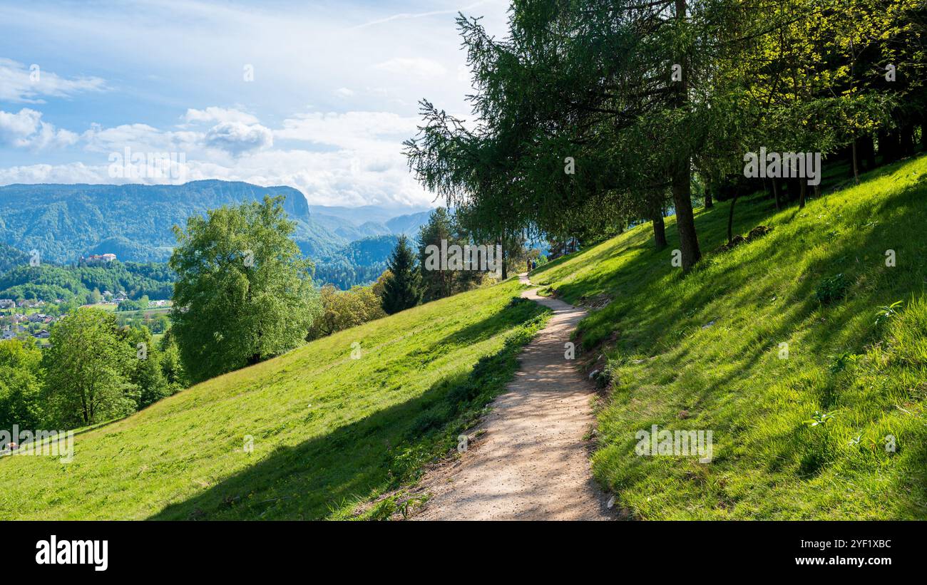 Unbefestigter Pfad am Hang durch die Landschaft, Berg im Hintergrund Stockfoto