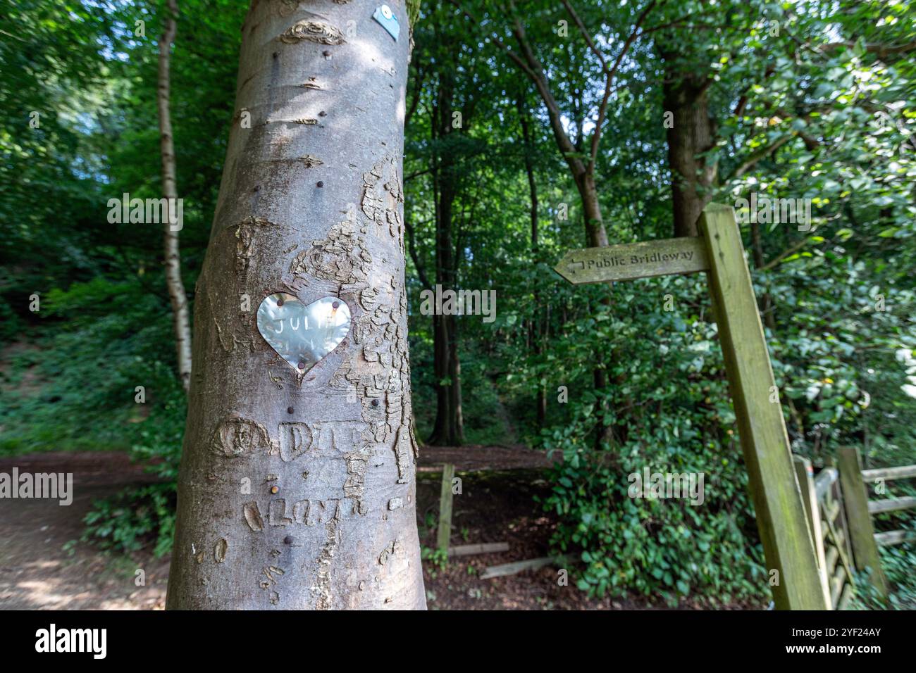 Tree with a Love Heart Metal, A683, River Rawthey, Cumbria, Nordwesten Englands, UK Stockfoto