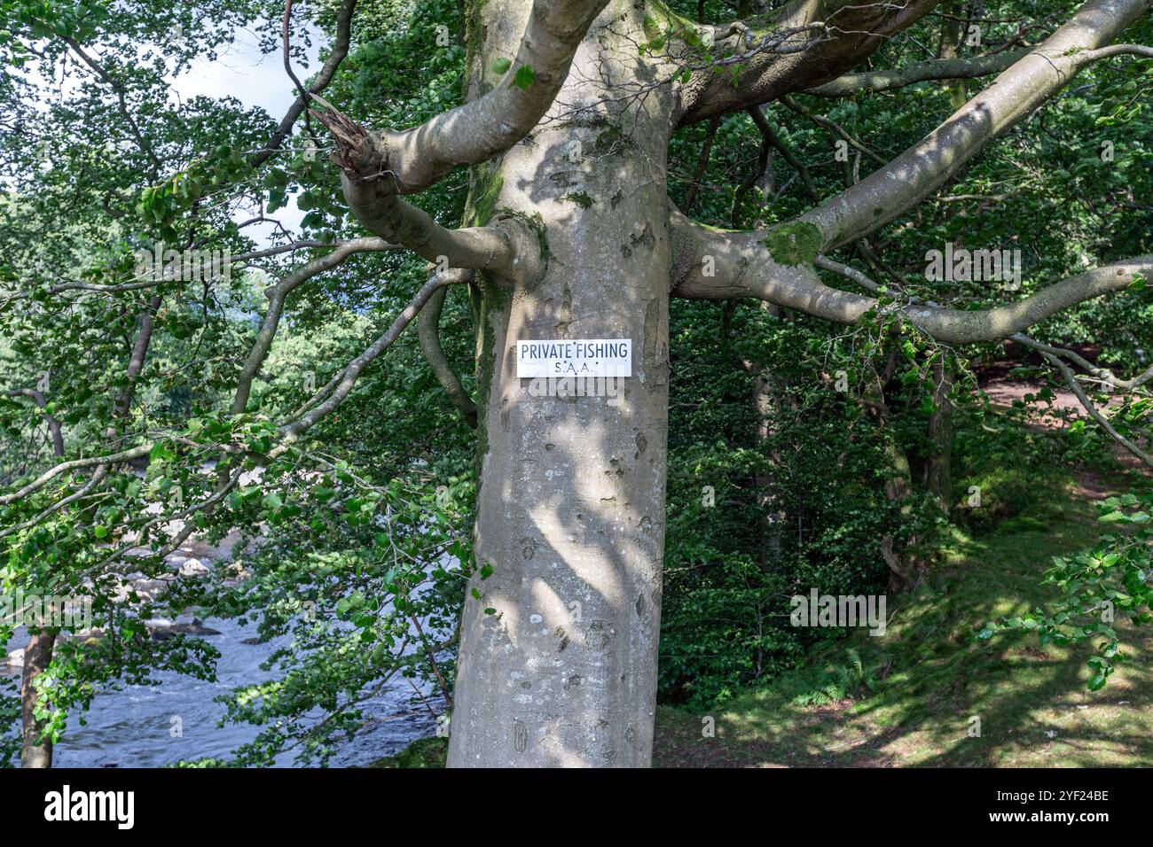 Privates Angelschild, A683, River Rawthey, Cumbria, Nordwestengland, UK Stockfoto