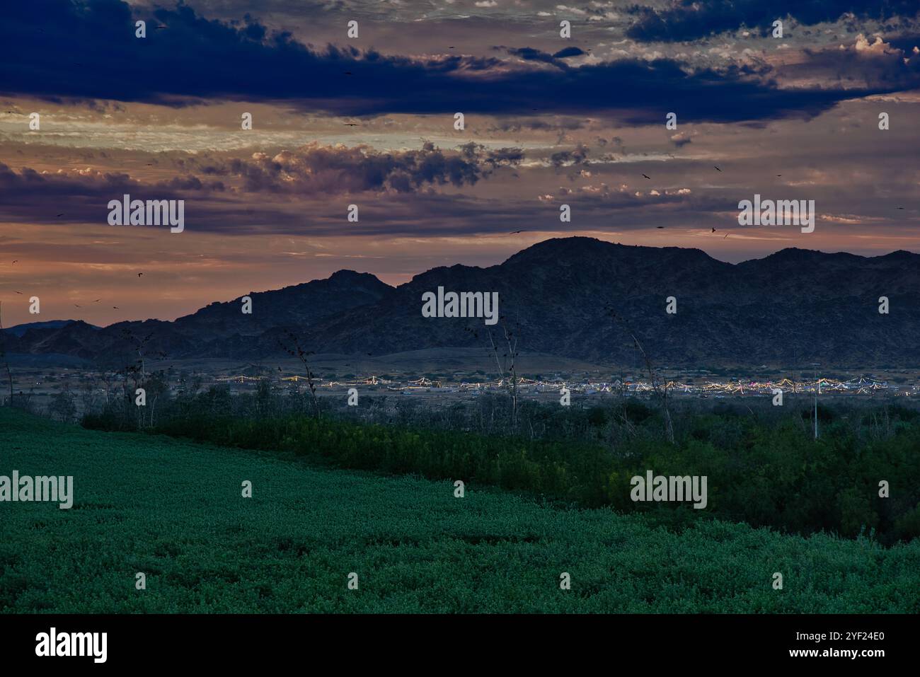 Östlicher Wald von Dschidda Saudi-Arabien Stockfoto