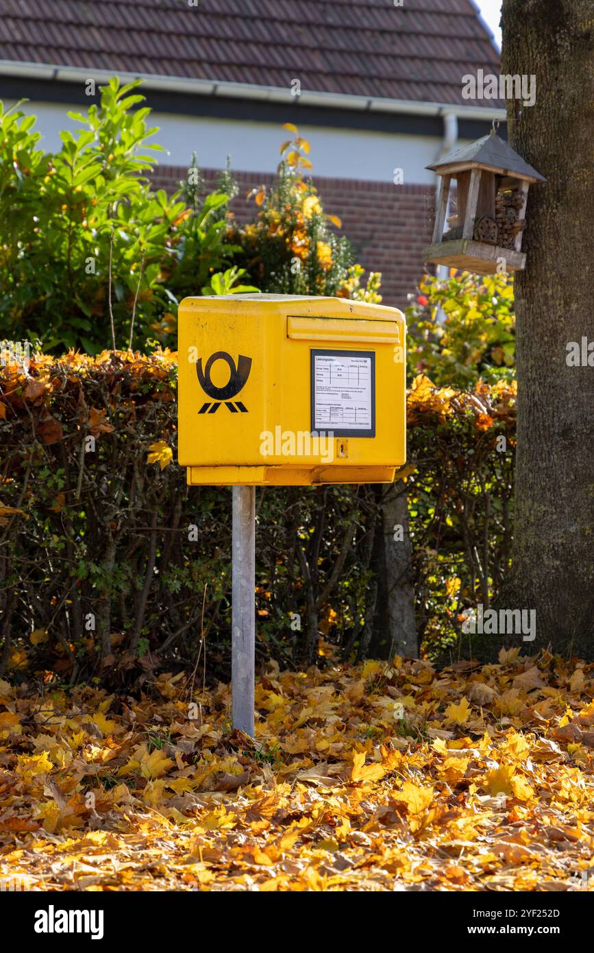 Ein gelber Briefkasten der Deutschen Post steht im Freien, umgeben von lebhaften Herbstblättern in einem ruhigen deutschen Viertel. Perfekt für saisonale oder Reisen Stockfoto