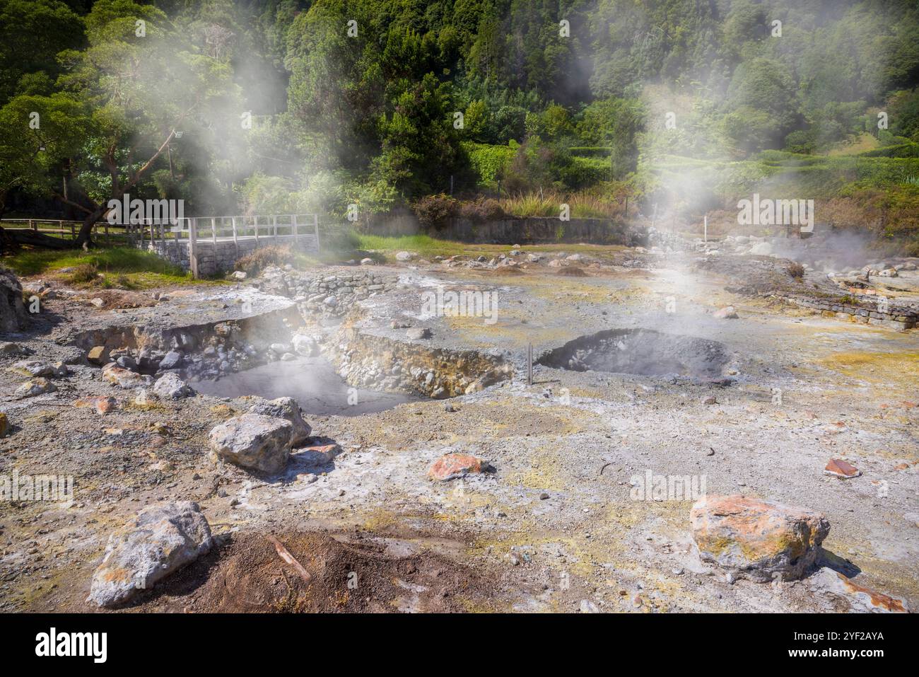 Das vulkanische Herz von São Miguel liegt in der Nähe des Dorfes Furnas, wo dampfende Fumarolen und sprudelnde Schlammtöpfe, die lokal als caldeiras bekannt sind, absteigen Stockfoto