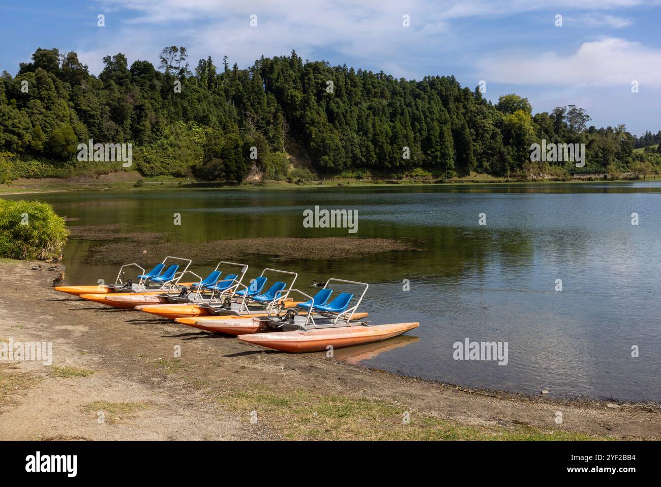 Das vulkanische Herz von São Miguel liegt in der Nähe des Dorfes Furnas, wo dampfende Fumarolen und sprudelnde Schlammtöpfe, die lokal als caldeiras bekannt sind, absteigen Stockfoto
