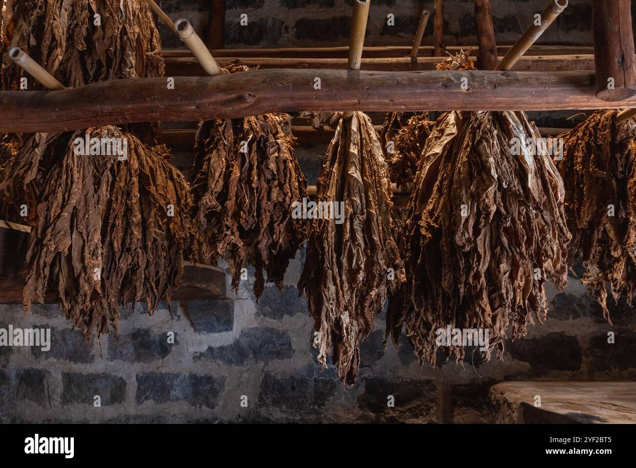 Das Maia Tobacco Museum befindet sich in einer historischen Fabrik und bietet einen faszinierenden Einblick in den Anbau, die Produktion und die kulturelle Bedeutung von Stockfoto