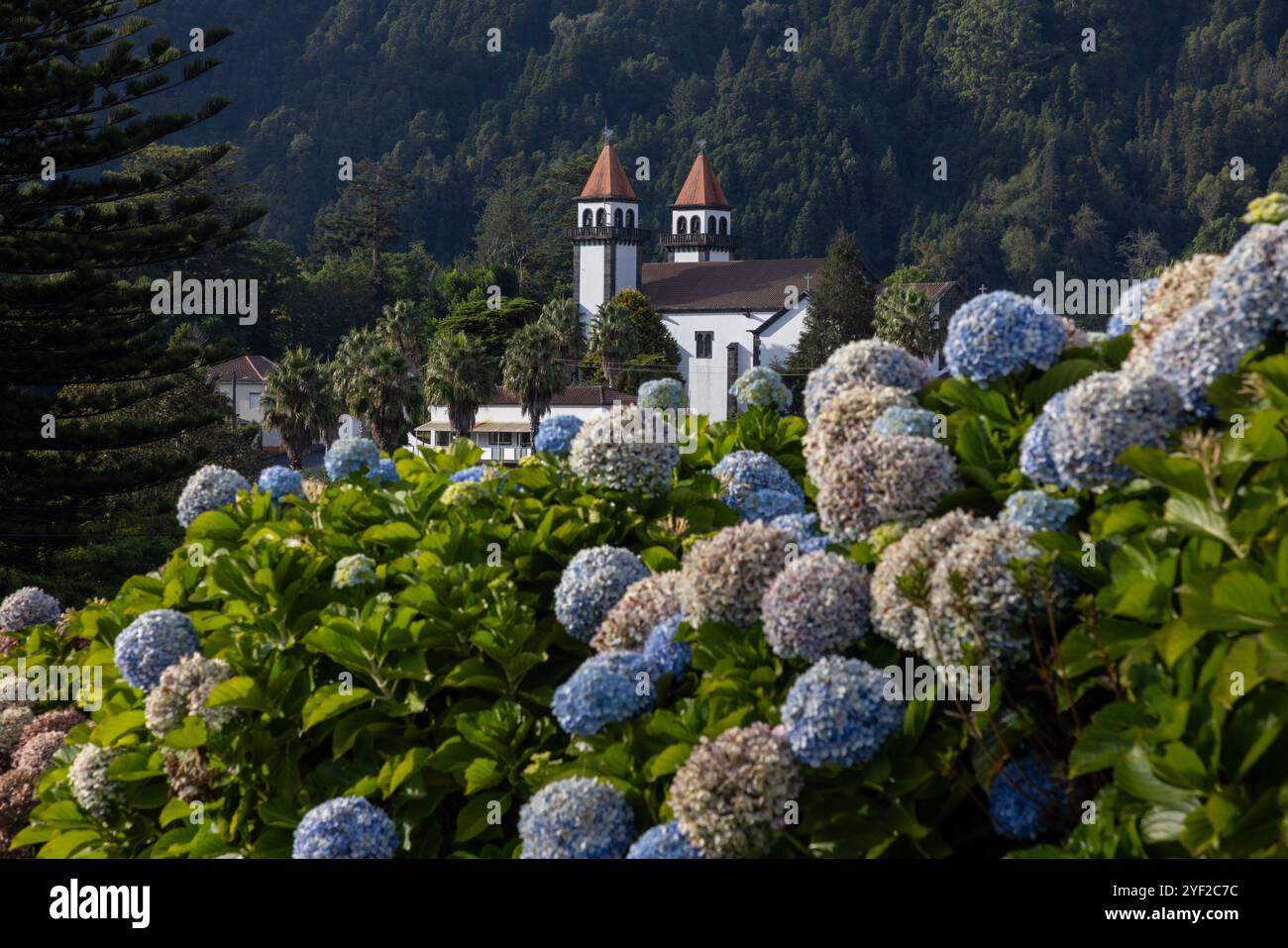 Die Kirche Nossa Senhora da Alegria in Furnas, Insel Sao Miguel, Azoren. Schöne Hortensias im Vordergrund. Stockfoto