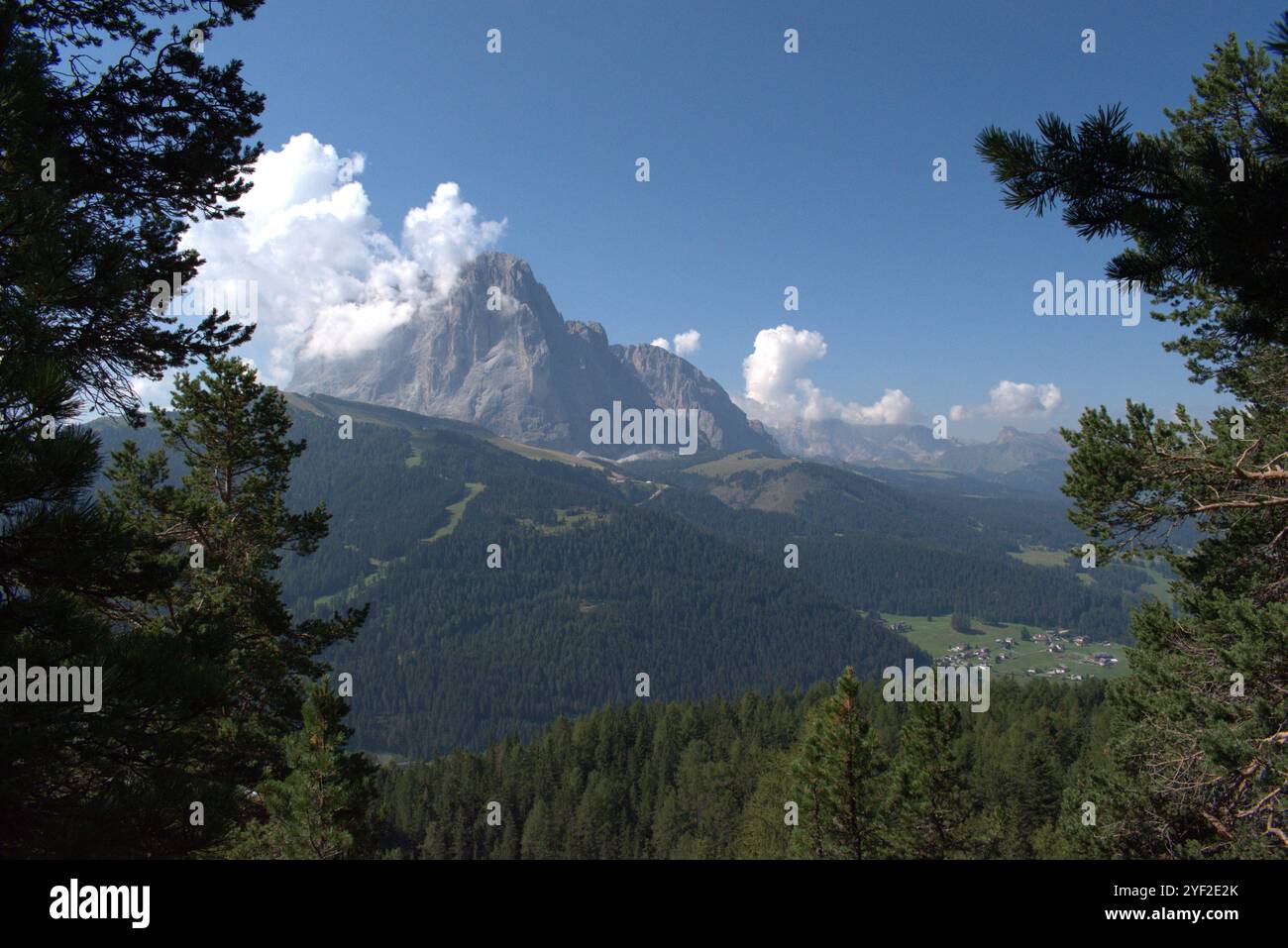 Sommerblick auf Langkofel, Wald und Gröden Stockfoto